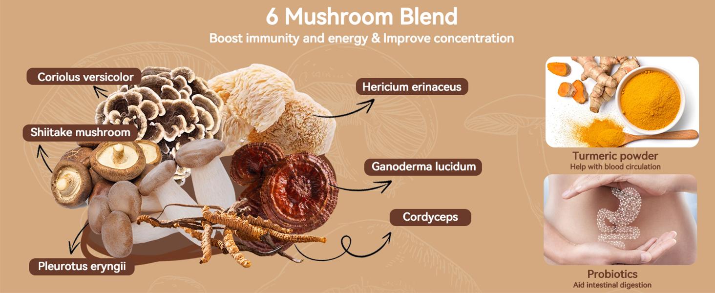 Mushroom Coffee (30 Servings) 10 Mushrooms (Lion’s Mane, Cordyceps, Turkey Tail & Other) Mixed With Gourmet Arabica Instant Immune Boosting Coffee for Focus & Gut Health Support Mushroom Coffee (30 Servings) 10 Mushrooms (Lion’s Mane, Cordyceps, Turkey Tail & Other) Mixed With Gourmet Arabica Instant Immune Boosting Coffee for Focus & Gut Health Support