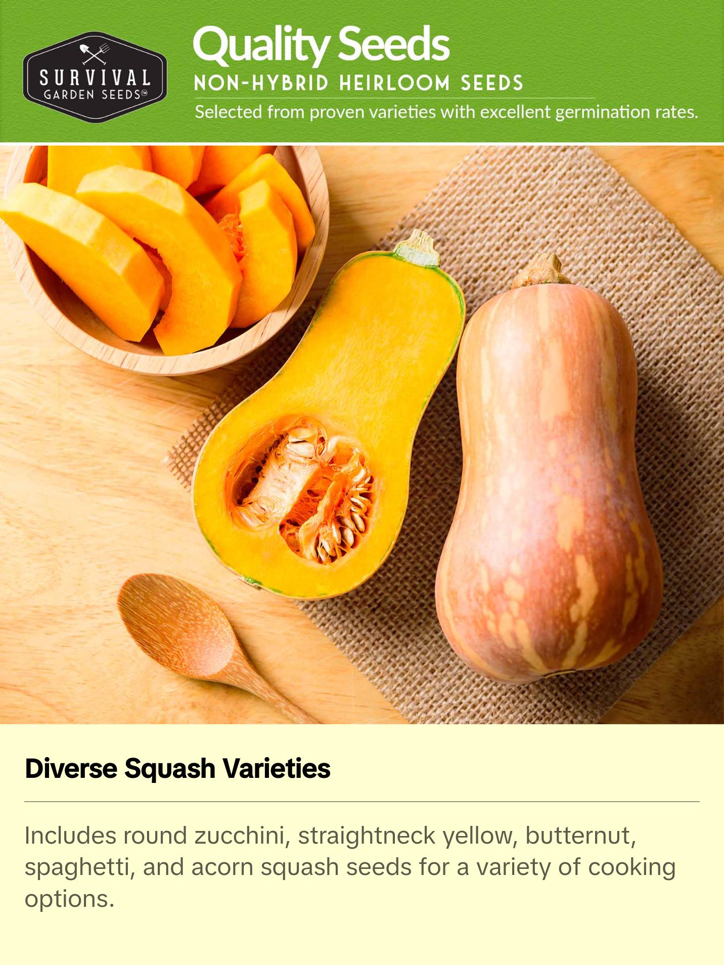Survival Garden Seeds Squash Seed Collection - Winter & Summer Squash - 5 Non-GMO Heirloom Varieties for Planting - Round Zucchini, Straightneck Yellow, Spaghetti, Butternut, Acorn Squash - Easy to Grow - Compact & High Yields