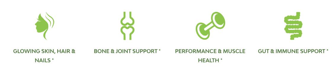 MariGold Grass-fed Collagen Peptides Powder Drink - Peanut Butter 1LB - Type I & III Bovine Hydrolyzed Collagen, Non-GMO, rBST/Dairy Free