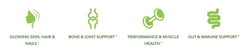 MariGold Grass-fed Collagen Peptides Powder Drink - Peanut Butter 1LB - Type I & III Bovine Hydrolyzed Collagen, Non-GMO, rBST/Dairy Free