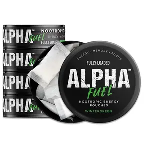 Fully Loaded Alpha Nootropic Pouches (Wintergreen) - 5 Cans - 15 Pouches per can - Effective Nootropic Delivery, Nic Pouch Replacement - Faster Absorption, Alpha GPC, L-Tyrosine, GABA