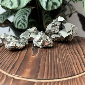 Cubic Pyrite Raw Specimen