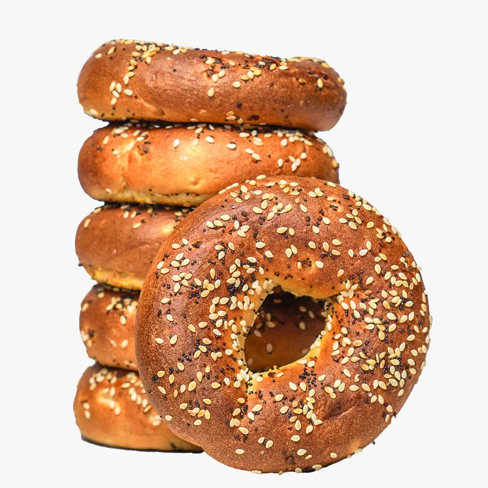 Everything Bagel Everything Bagel