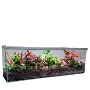 Lifegard Clear Glass 6 Gallon Long Terrarium