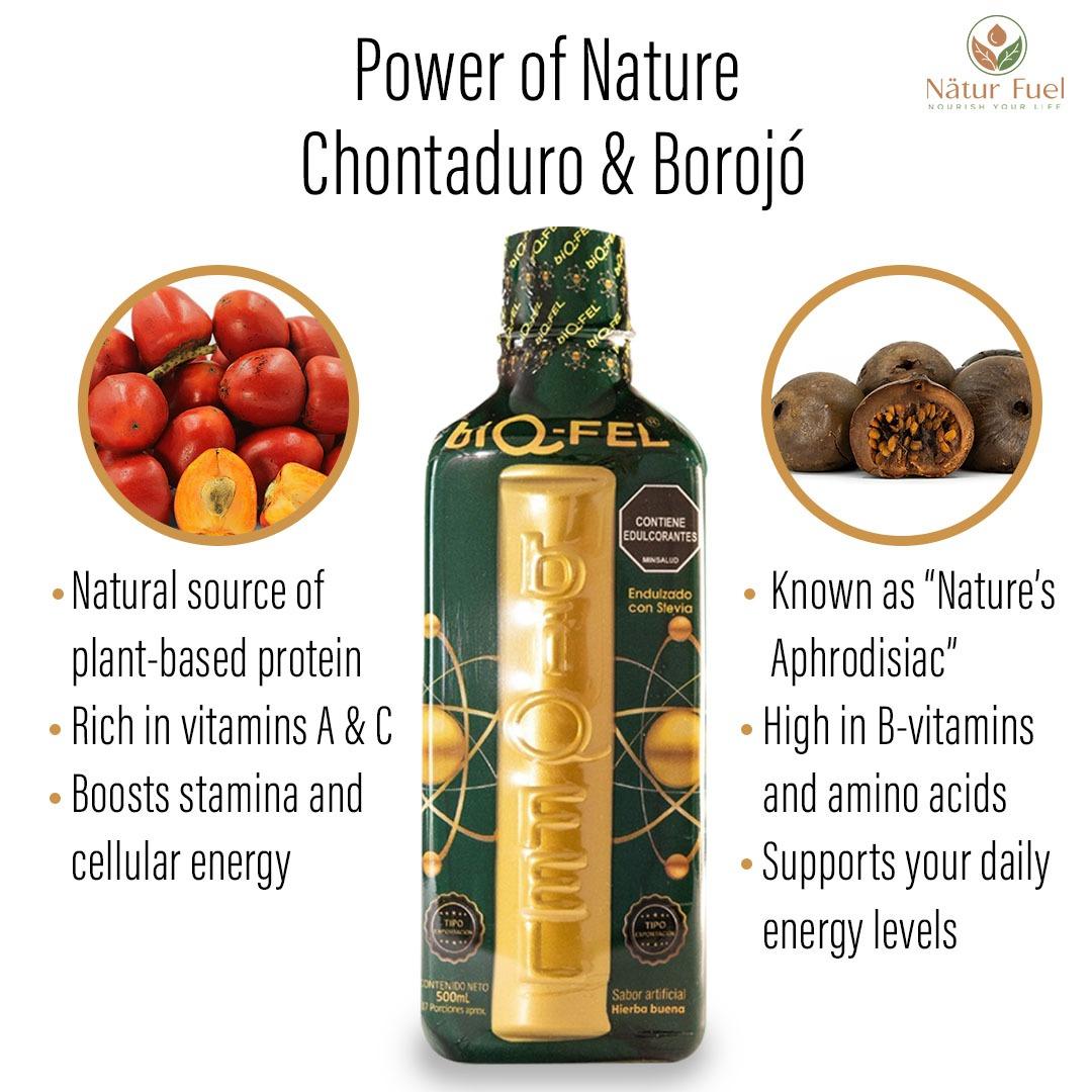 BIQ-FEL Natural Energy Booster 500ml – Chontaduro, Borojo & Guarana Blend – Biqfel Daily Liquid Supplement for Focus & Vitality BIQ-FEL Natural Energy Booster 500ml – Chontaduro, Borojo & Guarana Blend – Biqfel Daily Liquid Supplement for Focus & Vitality