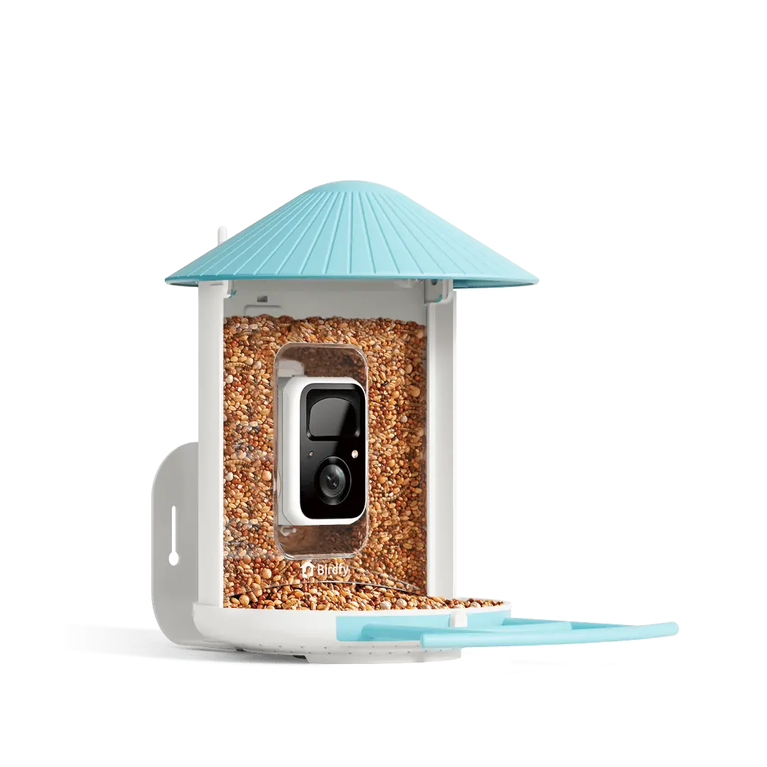 Birdfy Feeder - AI-Powered Smart Bird Feeder with Camera