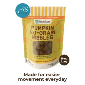 Joint + Gut | Pumpkin No-Grain Nibbles