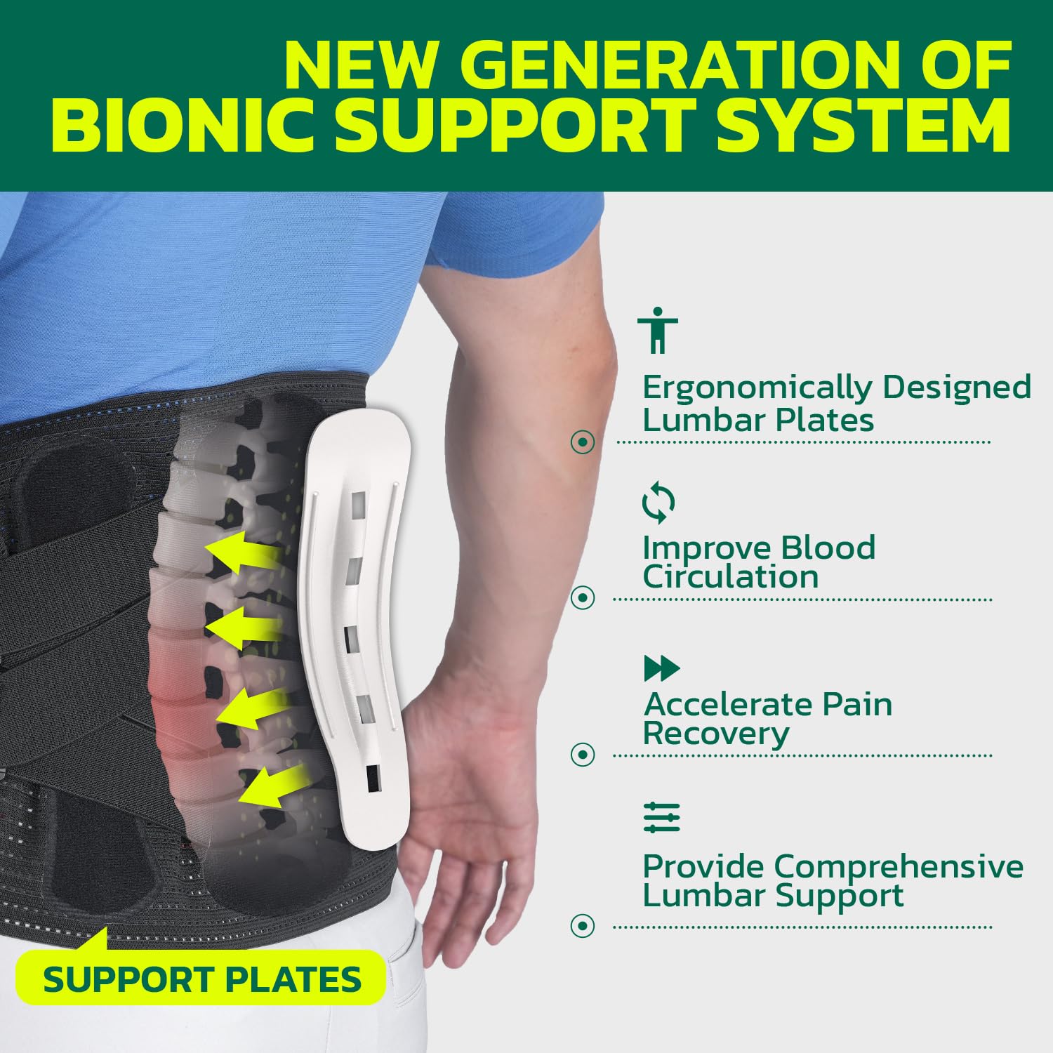 aoFIT Back Brace，Corset Waist TrainerBelt，Women's Sports，Sweat Belt for Men，Waist Support，Waist Trainer，Body shaping belt，springtok,FallFreshness