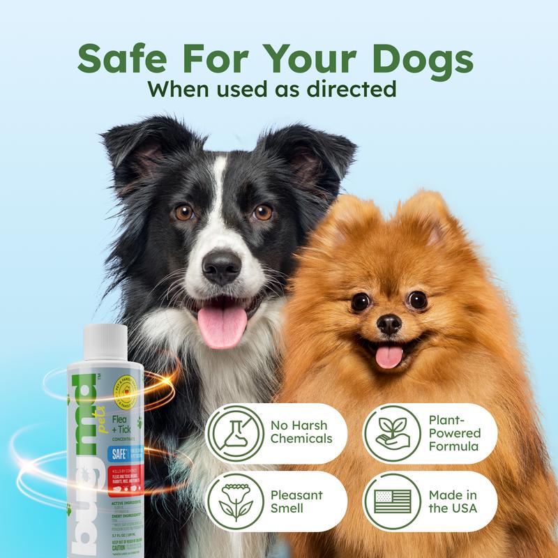 BugMD Flea and Tick Concentrate (3.7 oz, 2-Pack) – Natural Essential Oil Spray for Fleas, Ticks, and Mites in Pets, Safe for Dogs