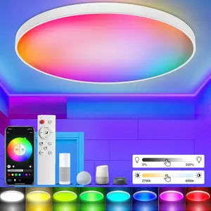 Smart LED Ceiling Light with Remote Control, 30W Flush RGB Colour Changing Ceiling Light Compatible with Alexa&Google Home, for Living Room Bedroom Hallway