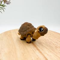 Mini Tortoise