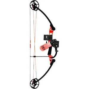 AMS Blaze Hooligan V2 Pro Bowfishing Bow Package Right Hand 50 lb