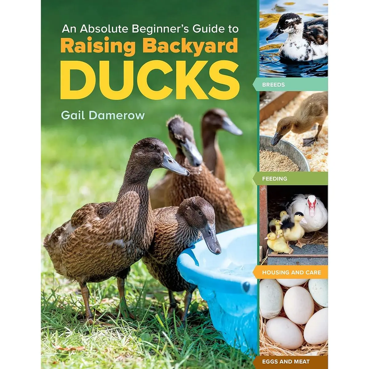 An Absolute Beginner's Guide to Raising Backyard Ducks: Breeds, Feeding, Housing and Care, Eggs and Meat Paperback – February 14, 2023