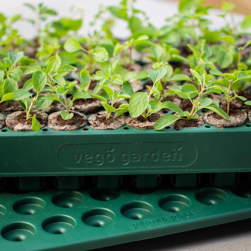 Vego Garden Seedling Suite Products 10" x 20" 76 Cells Stackable Seed Starter Germination Tray with 3-in-1 Plant & Pop Board & Bottom Watering Tray for Easy Seed Starting - Growing Kit