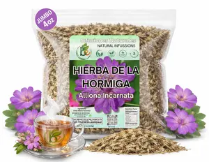 Hierba de la Hormiga Herbal Tea (4 oz) – 100% Natural Dried Allionia incarnata – Traditional Desert Botanical Infusion – Wildcrafted Loose Leaf – Caffeine-Free, Vegan, Non-GMO – Authentic by BEXPERTSUSA
