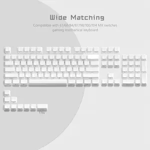 Womier Jelly Keycaps,Custom OEM Profile  Side Printed Elegant Crystal Key caps for 60 65 75 100 Percent Cherry Gateron MX Mechanical Keyboard