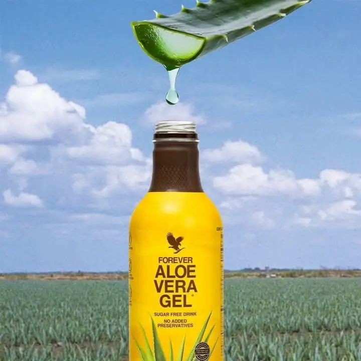 Forever Living Aloe Vera Gel - Natural Leaf-to-Bottle Herbal Beverage, Stabilized Inner Leaf Formula, Premium Daily Wellness Support
