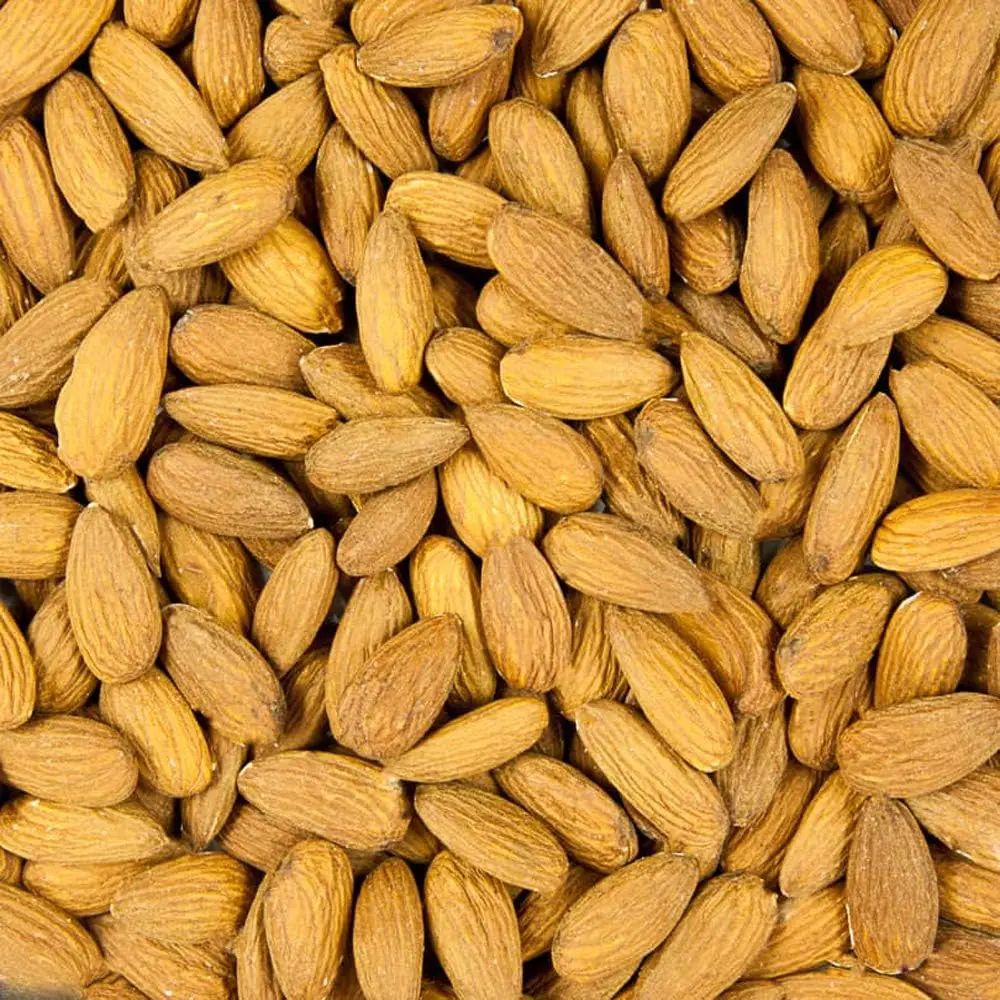Premium California Almonds 1 lb – Natural Whole Nuts Snack | Fresh, Crunchy, High Protein, Omega-Rich, Nutrient-Dense Superfood, Healthy Vegan Snack, No Additives, Energy Boosting & Heart-Healthy