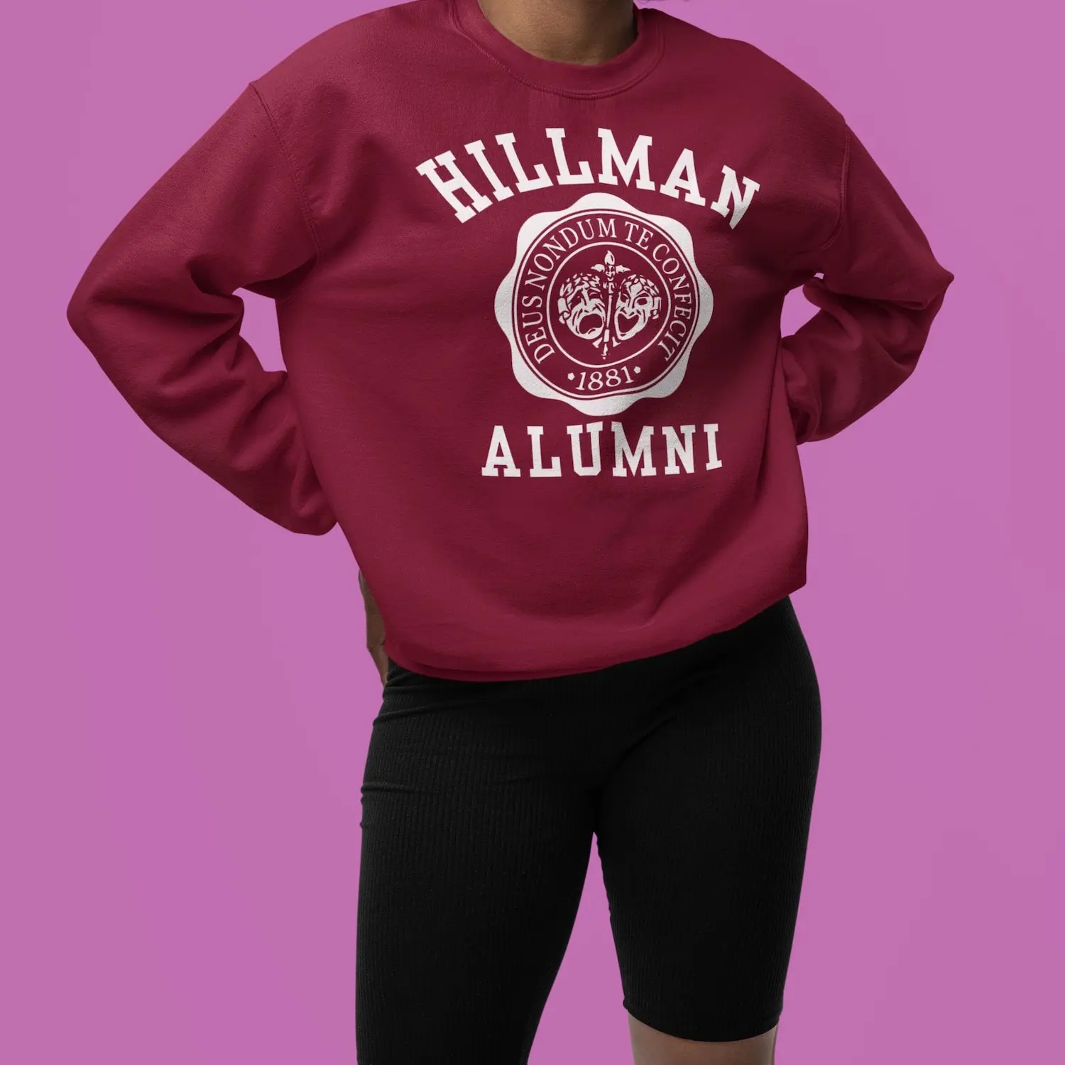 Men's Cotton Classic Crew Neck Long-Sleeve Fitted Pullover Sweatshirt - Unisex Menswear, Hillman College Digital Print, 90s A Different World Sitcom Inspired Black Culture Hip Hop Casual Top