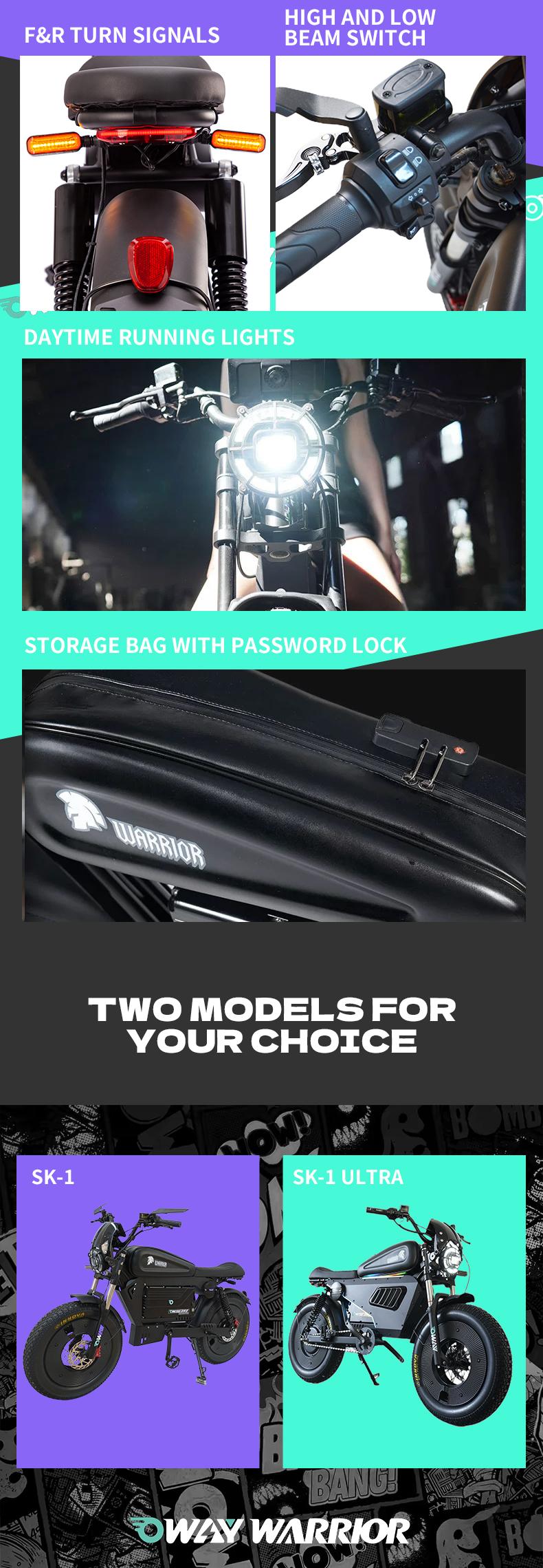 OWAY Black Warrior electric bicycle sk-1 ultra 3000W 60v 50ah High Speed Long Range 62mile high fatebike