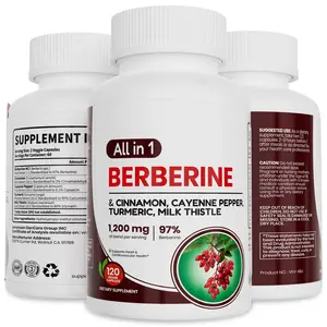 Berberine Supplement with Ceylon Cinnamon, Cayenne Pepper, Turmeric & Milk Thistle | Vegan & Non-GMO | 120 Capsules