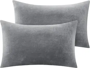 BEDELITE Flannel Pillowcases Standard Set of 2, Super Soft Fleece Pillow Case Cover with Zipper for Bedroom, Sofa, Couch,Luxury Cozy Fuzzy Velvet Pillow Shams for All Seasons(20X26 Inches, Gray)