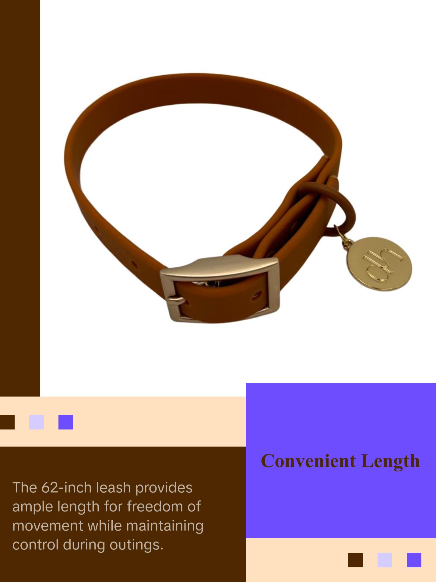 dh Designer PVC Collar & Leash Sets - Stylish Pet Accessories dh Designer PVC Collar & Leash Sets - Stylish Pet Accessories