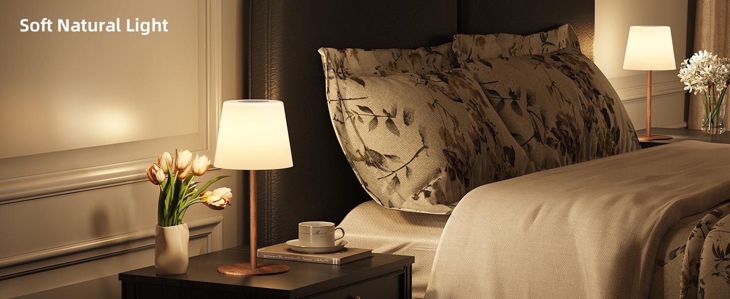 EZVALO Waterproof Shower Lamp, Cordless Table Lamp, 4500mAh Rechargeable Bathroom Lamp, 3 Color Temps Dimmable Touch Bedside Lamp, LED Night Light for Inside Shower Bathtub Patio Camping Bedroom Home Decor