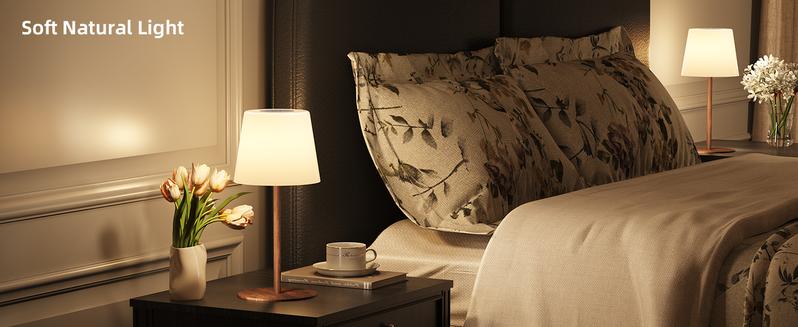 EZVALO Waterproof Shower Lamp, Cordless Table Lamp, 4500mAh Rechargeble Bathroom Lamp, 3 Color Temps Dimmable Touch Bedside Lamp, LED Night Light for Inside Shower Bathtub Patio Camping Bedroom Home Valentine's Day Gift EZVALO Waterproof Shower Lamp, Cordless Table Lamp, 4500mAh Rechargeble Bathroom Lamp, 3 Color Temps Dimmable Touch Bedside Lamp, LED Night Light for Inside Shower Bathtub Patio Camping Bedroom Home Valentine's Day Gift