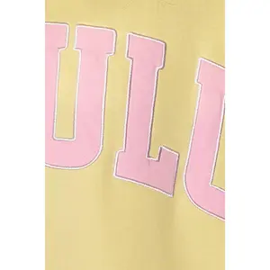 DELULU 'DELULU' Embroidered Mock Neck Sweatshirt