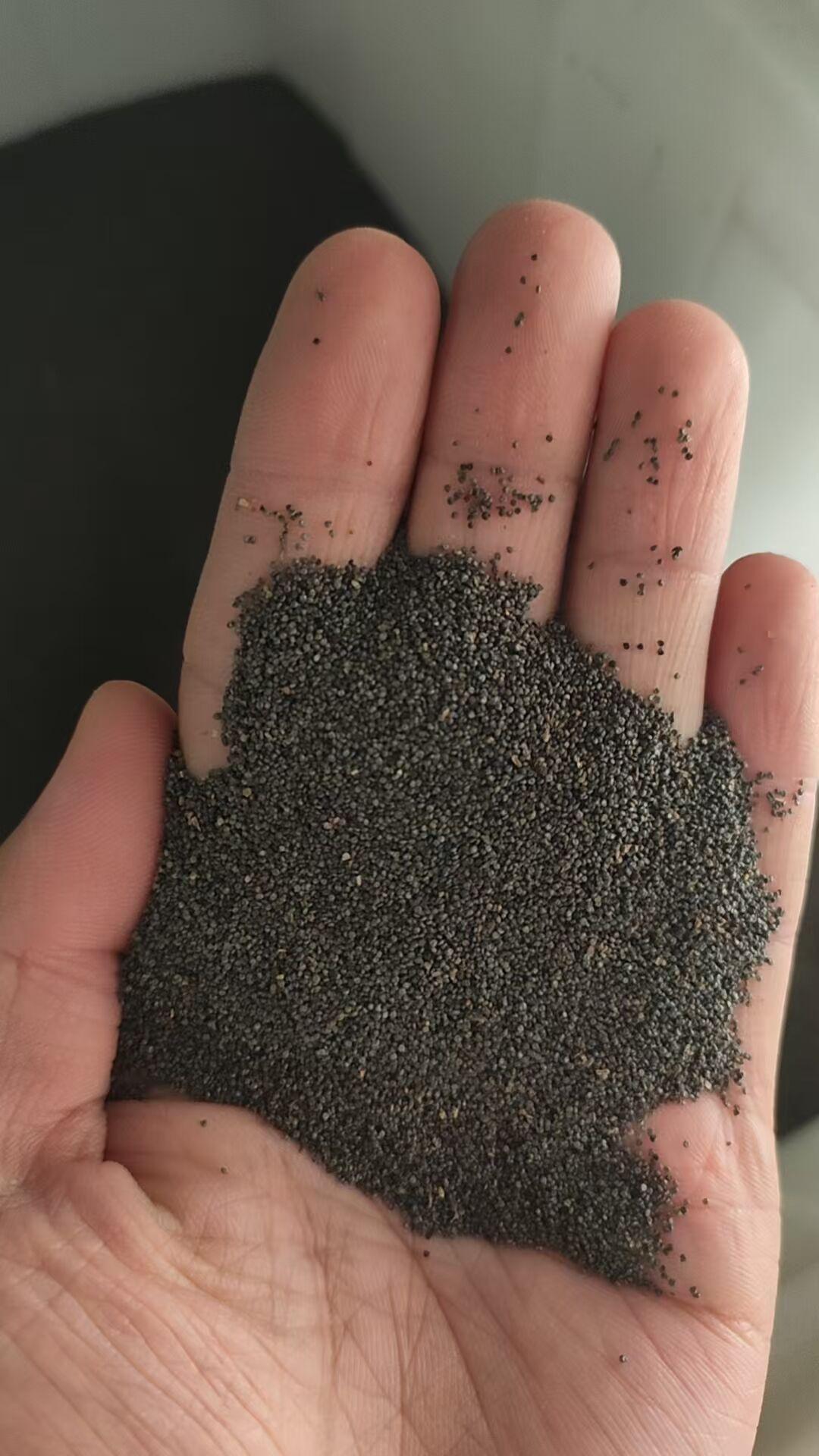 10000 +PCS (Moss Rose) Seeds -Mixed Double Portulaca Grandiflora Seeds Planting Ornaments Perennial Garden Simple to Grow Pots Gifts 10000 +PCS (Moss Rose) Seeds -Mixed Double Portulaca Grandiflora Seeds Planting Ornaments Perennial Garden Simple to Grow Pots Gifts