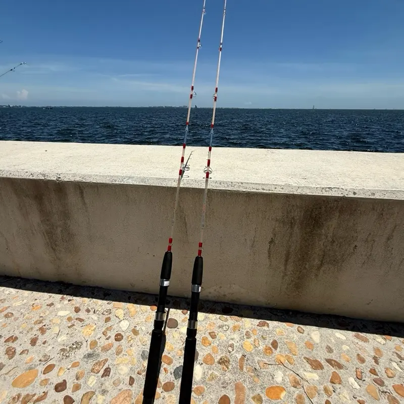 Largo Stick Red Edition II Spinning Fishing Rod 5ft Two Section 5 Guides Light Fiberglass Saltwater Fishing Durable Portable Strong Clear Red, Fishing Rods, 5-Foot Length