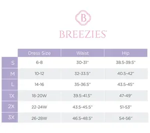 Breezies Fan Lace Full Brief Panty Set of 3