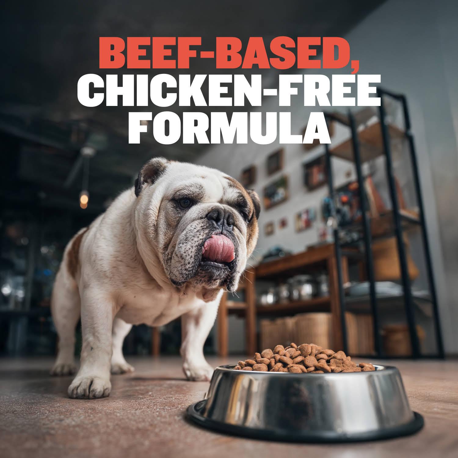 Bully Max 30/20 High Protein Beef Dog Food (5 lbs.) — 30% Protein, 20% Fat, 300% More Protein Than Fresh Beef, +10M CFU Probiotics