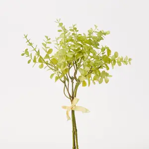 Bright Green Eucalyptus Bundle Bouquet of 5 Stems - 14"