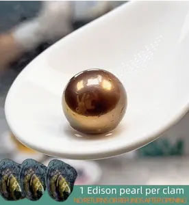 【Bryan】Pluto Edison  (1 Edison pearl per clam 13.5-16mm Deep/Golden/Mix Color Round Pearl）Big Round Pearl Freshwater Pearl｜Live Opening Non-Refundable NO RETURNS OR REFUNDS AFTER