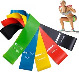 Resistance Loop Exercise Bands with Instruction Guide and Carry Bag, Set of 5
