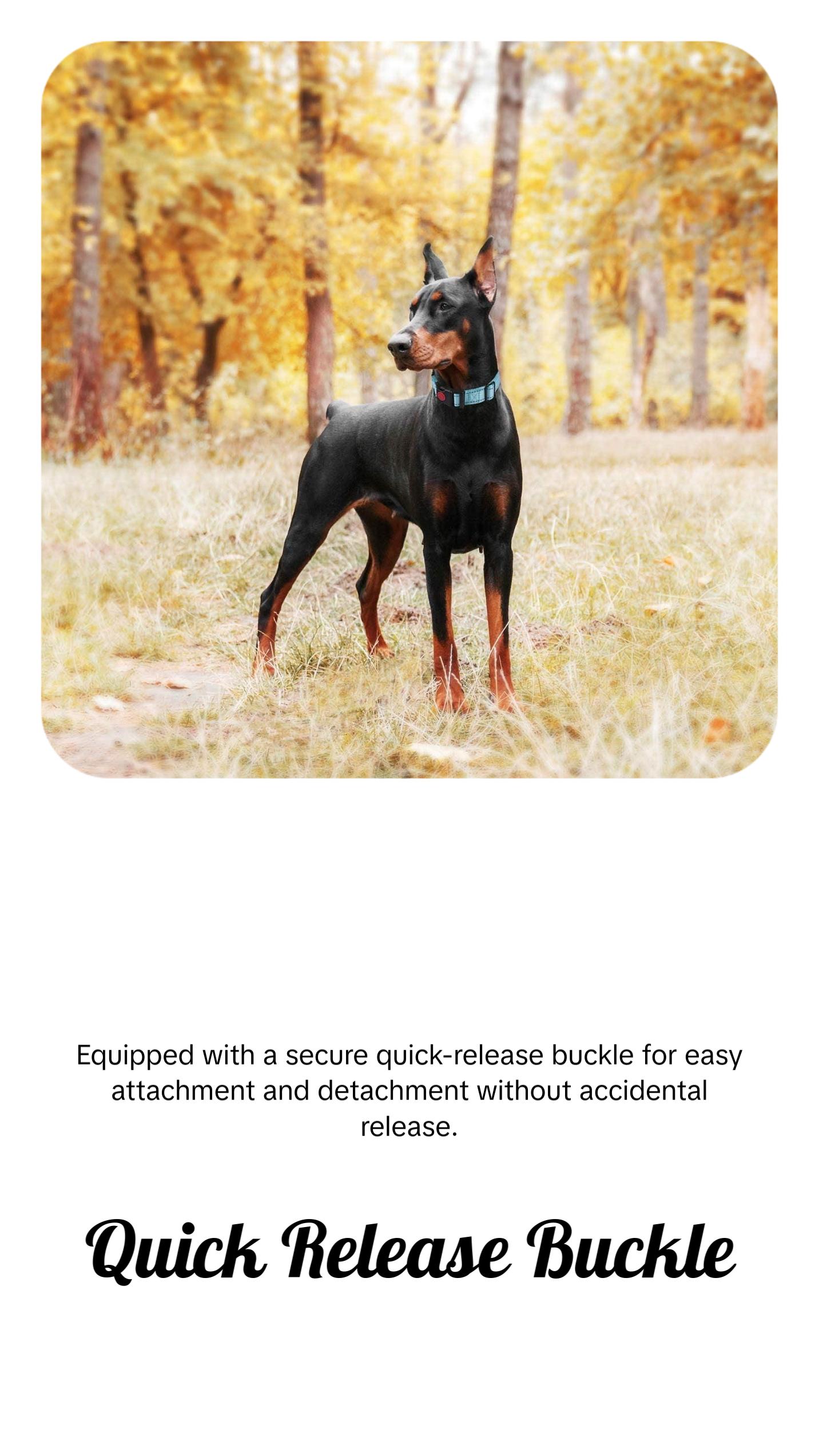 2 Packs Martingale Dog Collar with Quick Release Buckle Reflective Dog Training Collars for Small Medium Large Dogs