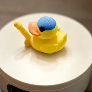 Multi-Color D Duck