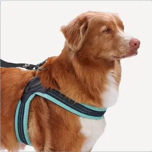 Sporn Easy Fit Harness - Breathable Lightweight Mesh Reflective Stitching Adjustable D-ring for Leash Attachment Comfortable Fit