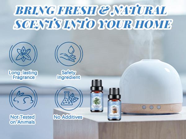 Clean Diffuser Oils Gift Set - 6x10ML Luxury Fragrance Oil Blend, Clean Scent Essential Oils Set for Diffuser, Candle, Soap Making Scents