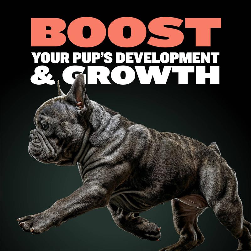 Bully Max Puppy Tabs - Development & Growth Support for Muscle Growth, Immunity, and Wellness - 9,000x Stronger Immune Boost Than Vitamin C