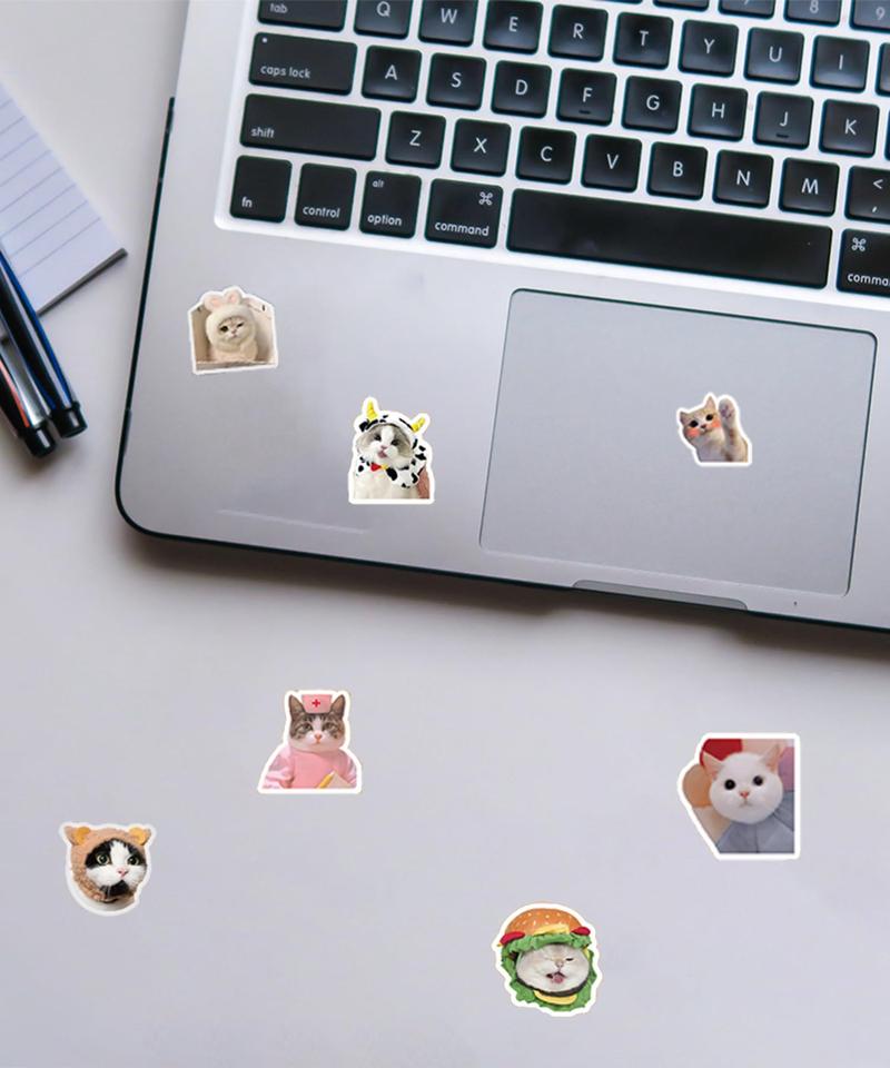 100 Pcs Funny Cat Stickers Cute Cat Meme Stickers for Adults Kitty Vinyl Waterproof Stickers for Water Bottles Laptops Phone Luggage Guitar