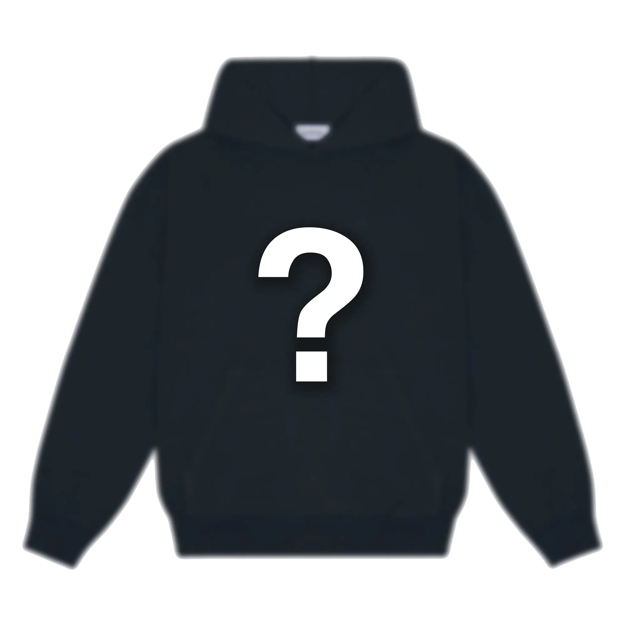 MYSTERY HOODIE / CREWNECK
