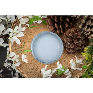 Dusty Blue- Dixie Belle Chalk Mineral Paint