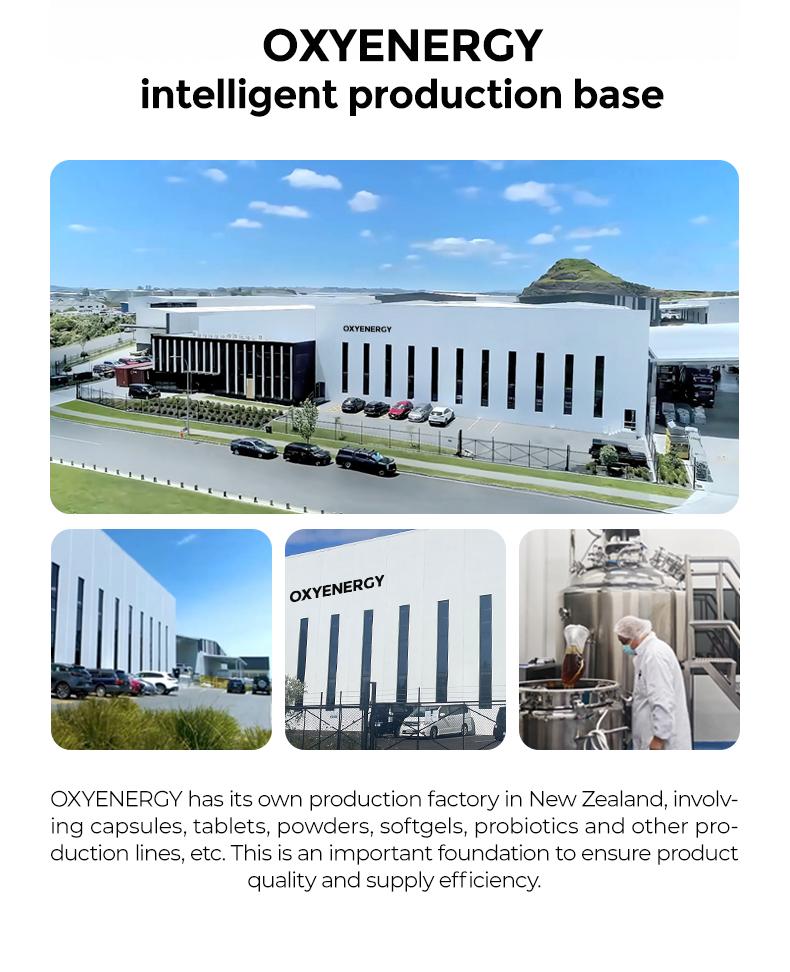 Oxyenergy Magnesium for Cognition, Muscle, Sleep and Stress, High Absorption, 90 capsules/bottle Fitness Supplement