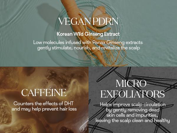 [VT Official] PDRN Reedle Shot Hair Ampoule | Hair Growth Hair loss treatment, Hair Loss Prevention, Scalp Health, OG Liquid Microneedling Reedle Shot, Enhanced Absorption Hair Serum Shot, PDRN & Caffein & Biotin & Rosemary Extract, Anti-aging Scalp No Ri