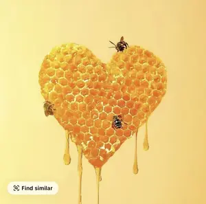 Organic Natural Honey - 12 Sachets - 20g Sweet Flavor - Infused with Natural Jelly Honey Bee Pollen&100% Mixed Natural