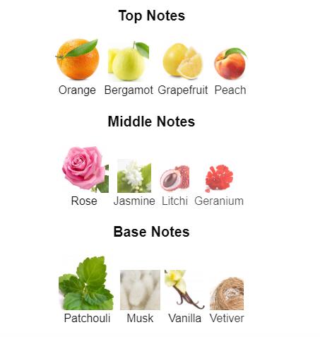 Armaf Club de Nuit for Women Eau de Parfum Spray, 3.6 Ounce