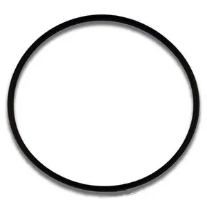 51016200Z O-ring #2-152 Pentair Diverter Valve Cover